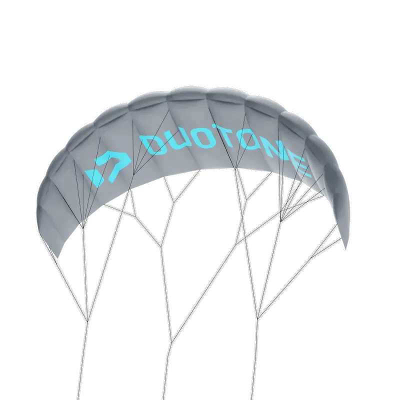 Duotone Trainerkite Lizard